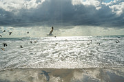 To Be Splendid Photograph by Ryan Weddle