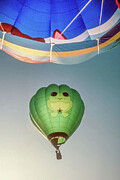 Toad Balloon Photograph by William Gunn Toad Balloon Photograph by William Gunn