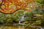 Tom Branch Falls in the Smoky Mountains National Park Photograph by Jimmy Pappas