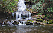 Tom Branch Falls Photograph by Stacy Abbott