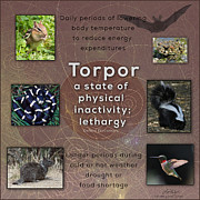Torpor Digital Art by Lisa Redfern