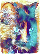 Torti in Teal Photograph by Tina Uihlein