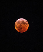 Total Lunar Eclipse Over New York Photograph by John Morzen