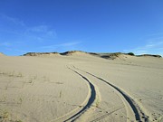 Tracks on the Dunes Photograph by Annalisa Rivera-Franz