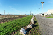 Trail of Rocks and Winter Cornfield Photograph by Tom Cochran