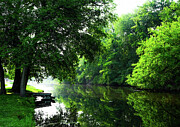 Tranquil Creek With Green Foliage Photograph by Victoria Plut