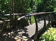 Tranquil Footbridge Amidst Kirstenbosch's Greenery, South Africa Photograph by Travel Essayist Tranquil Footbridge Amidst Kirstenbosch's Greenery, South Africa Photograph by Travel Essayist