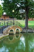 Tranquil Footbridge Over a Serene Pond Photograph by Brigitte Blanchette Thompson Tranquil Footbridge Over a Serene Pond Photograph by Brigitte Blanchette Thompson