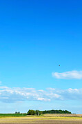 Tranquil Horizons Photograph by Travel Essayist