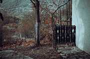 Tranquil Photograph by Marinko Shlakeski