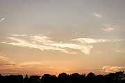 Tranquil Twilight Silhouetted Trees under a Serene Sunset Sky Photograph by Travel Essayist Tranquil Twilight Silhouetted Trees under a Serene Sunset Sky Photograph by Travel Essayist