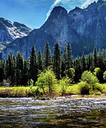 Tranquil Valley Triptych_3 Photograph by Az Jackson