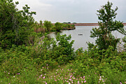 Tranquil Waters - Serene Scene with Ducks and Blooms Photograph by Brigitte Blanchette Thompson Tranquil Waters - Serene Scene with Ducks and Blooms Photograph by Brigitte Blanchette Thompson