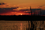 Tranquility Photograph by Mary Walchuck