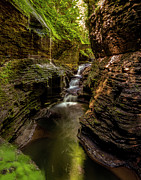 Treasure at Watkins Glen Photograph by Regina Muscarella Treasure at Watkins Glen Photograph by Regina Muscarella