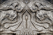 Tree Burl Mirror #3 Photograph by Ben Upham III