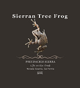 Tree Frog Digital Art by Lisa Redfern