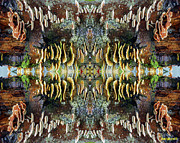 Tree Full of Life Double Mirrored Horizontal 8x10 Photograph by Ben Upham III