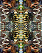 Tree Full of Life Double Mirrored Vertical 8x10 Photograph by Ben Upham III Tree Full of Life Double Mirrored Vertical 8x10 Photograph by Ben Upham III