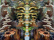 Tree Full of Life Vertical Flip Photograph by Ben Upham III Tree Full of Life Vertical Flip Photograph by Ben Upham III