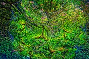Tree Moment Digital Art by Allen Nice-Webb Tree Moment Digital Art by Allen Nice-Webb