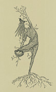 Tree Pose Drawing by Jenny Armitage