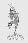 Tree Pose Root Through Your Standing Foot Painting by Jenny Armitage