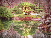 Tree Reflection Photograph by Penny Lisowski