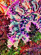 Trees and sky with a split ammonite spiral overlay Digital Art by Bruce Block