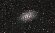 Triangulum Galaxy Photograph by Brian Weber