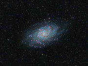 Triangulum Galaxy in HaRGB Photograph by Dana Matson