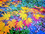 Tribute To Autumn Photograph by Allen Nice-Webb