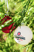 Tribute to Chicago Cub Fans Photograph by Kathi Isserman
