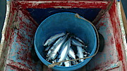 Trophy of the fisherman Photograph by Robert Bociaga