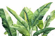 Tropical Banana Leaves Painting by Lourry Legarde