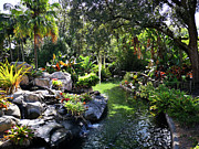 Tropical Garden Photo 146 Photograph by Lucie Dumas