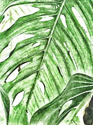Tropical Leaf Daydreams Photograph by Carol Riddle