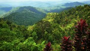 Tropical Mountain 2 Photograph by Robert Bociaga