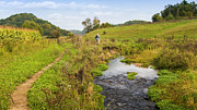 Trout Fishing Photograph by Mark Mille Trout Fishing Photograph by Mark Mille