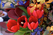 Tulip Bouquet Photograph by Bonnie Colgan Tulip Bouquet Photograph by Bonnie Colgan