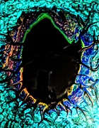 Turquoise Touch Painting by Anna Adams