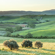 Tuscan Morning, Tuscany, Italy Photograph by Sarah Howard