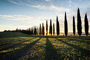 Tuscan Shadows Photograph by Matthew Train