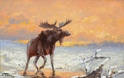 Twilight Moose Painting by John Fery