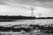 Two electric power lines in a flooded field in Texas Hill Country Photograph by Brigitte Blanchette Thompson Two electric power lines in a flooded field in Texas Hill Country Photograph by Brigitte Blanchette Thompson