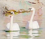 Two Mute Swans Tranquility Moment Painting by Simone Edward Artwork