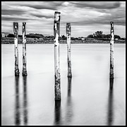 Two Plus One Photograph by Tony Locke