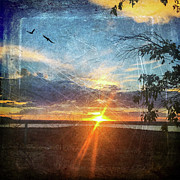 Two Souls Flying Off Into The Sunset Digital Art by Debra Martz Two Souls Flying Off Into The Sunset Digital Art by Debra Martz