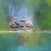 Two Turtle Doves 01 Mixed Media by Elisabeth Lucas