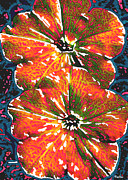 Two Wild Petunias Digital Art by Vallee Johnson